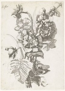 Diverses Fleurs mises en Boucquets