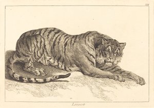Leopar (Leopar veya Kaplan)
