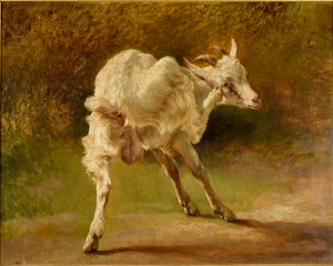  by Jacques Raymond Brascassat