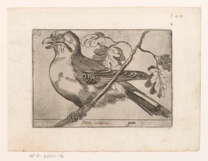 Gaai Gaio (nesne üzerindeki başlık) Vogels (dizi adı) by Jacques de Fornazeris (possibly)