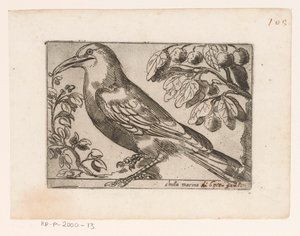 Vogel Chuta marina (nesne üzerindeki başlık) Vogels (dizi adı) by Jacques de Fornazeris (possibly)
