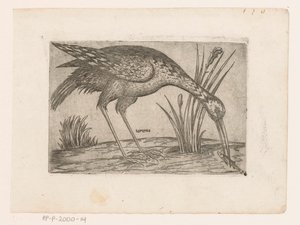 Vogel Tartena (nesne üzerindeki başlık) Vogels (dizi adı) by Jacques de Fornazeris (possibly)
