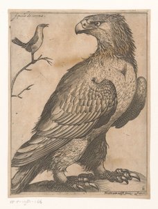 Kartal Aquila de Corona (nesne üzerindeki başlık) Nine Birds (dizi adı)