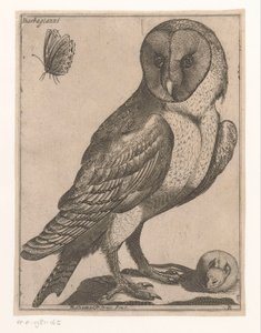 peçeli baykuş Barbagianni (nesne üzerindeki başlık) Nine Birds (dizi adı)