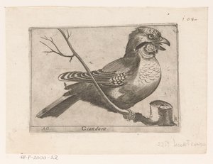Jay (Garrulus glandarius) Giandara (nesne üzerindeki başlık) Kuşlar (dizi adı)