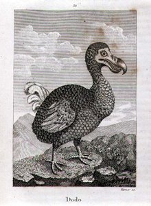 Oliver Goldsmith
