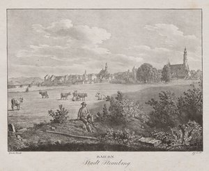 Bavyera, Straubing şehri by Jakob Alt