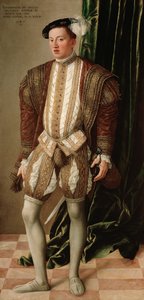 Tirol Kralı II. Ferdinand (Habsburg), Avusturya Arşidükü - II. Ferdinand