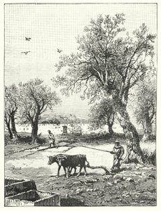 Bir bağda çiftçilik (lito) by James (after) Clark