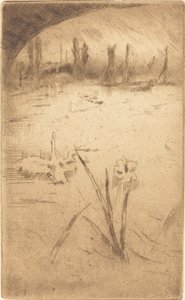 Swan ve Iris, 1883