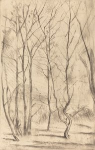 Baraj Ağacı, 1875. by James Abbott McNeill Whistler