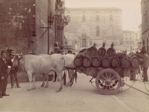 Öküz arabası, Perugia, 1880