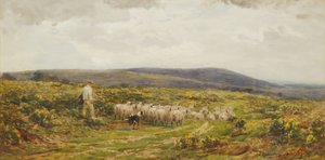 Herefordshire Ortak, 1860-1900.