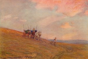 Harting Yakınlarındaki Downs On, c1870-1906, 1906.