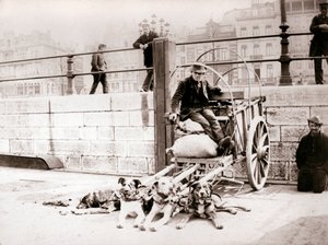 Köpek arabası olan adam, Anvers, 1898. by James Batkin