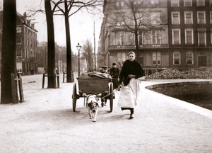 Köpek arabası olan kadın, Rotterdam, 1898.