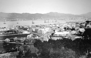 Lambton Limanı ve Queens Wharf, Wellington, Yeni Zelanda, 1870 by James Bragge