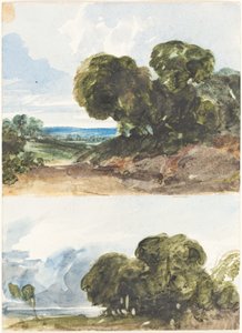 Ağaçların İki Eskizi by James Bulwer