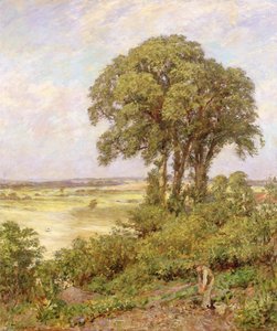 Sussex