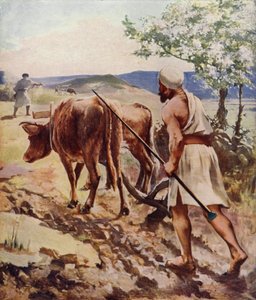 Nasıra yakınlarında çiftçilik by James Clark