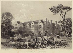 Sawston Salonu, Cambridgeshire by James Dafforne