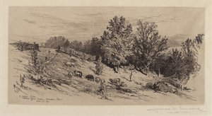 Nadas Alanı by James David Smillie
