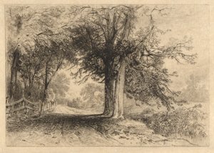 Bir Çiftlik Yolu, Ocak 1887, Opus 2 by James David Smillie
