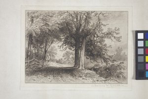 Manzara (gravür, chine collé)