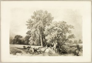 Park ve Orman'dan Abele ve Meşe by James Duffield Harding