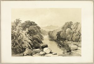 Park ve Orman'dan Kül, Çınar ve Meşe by James Duffield Harding