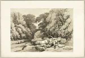 Park ve Orman'dan Greta'da Dişbudak ve Kızılağaç by James Duffield Harding
