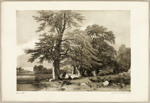 Park ve Ormandan Kayın by James Duffield Harding