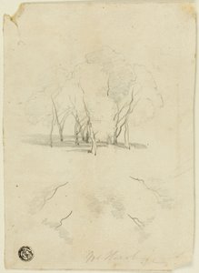 Ağaç Yığını by James Duffield Harding
