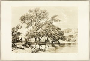Park ve Ormandan Söğüt by James Duffield Harding