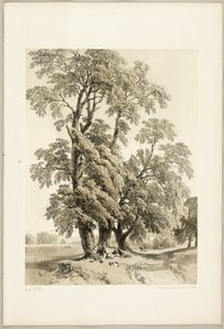 Karaağaç, Park ve Orman'dan by James Duffield Harding