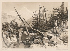 Çam Ağaçları ve Köprü by James Duffield Harding
