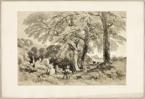 Wych Elm, Park ve Orman'dan by James Duffield Harding