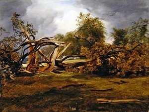 Blasted Oak (gemide yağ)