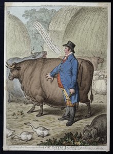 Şişman Sığır, 1802