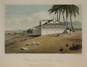 Bryan Kalesi, Büyük Ev, Trelawny