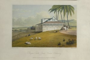 Bryan Castle, 