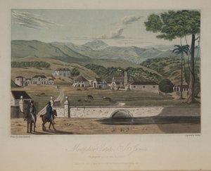 Montpelier Malikanesi, St. James's