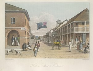 1820 ve 1821 yıllarında yapılan çizimlerden Jamaika Adası