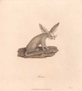 rezene by James Heath