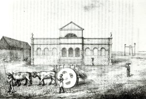 The Rio Exchange, a Public Trapiche, a Grass Wagon and the Darağacı, James Henderson