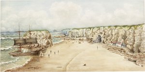 Marsden Rock