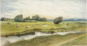 Ryton Meadows (kağıt üzerine suluboya ve gövde rengi)