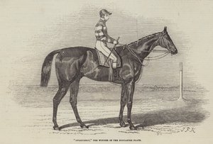 Sweetmeat, Doncaster Plakasının Kazananı