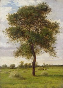 Yazın Bir Dişbudak Ağacının İncelenmesi by James Hey Davies