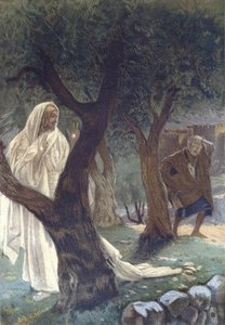 İsa, Aziz Petrus